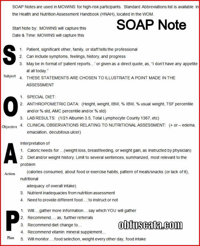 35 Soap Charting Examples Hamiltonplastering