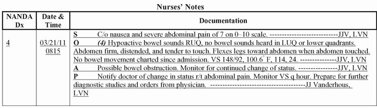 Soap Note Layout Beautiful 17 Best Ideas About Nursing Documentation Examples On