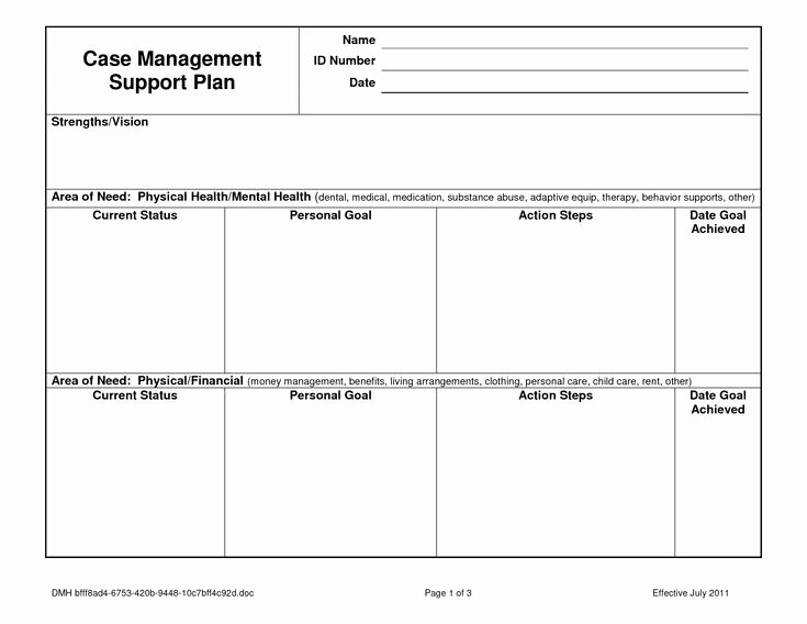 Social Work Treatment Plan Template Lovely Case Notes Template Case Management Service Plan