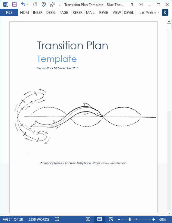 Software Development Plan Template Elegant Transition Plan Template