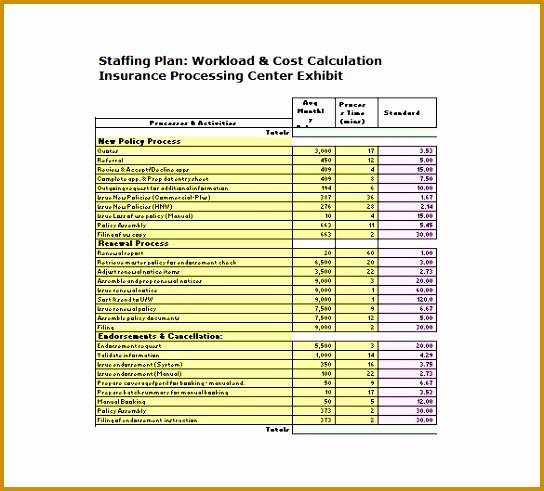 Staffing Plan Template Excel Beautiful 5 Staffing Model Template
