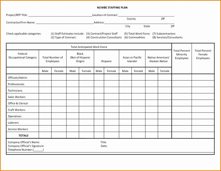 Staffing Plan Template Excel Beautiful Staffing Plan Example Letter Examples Strategic Project