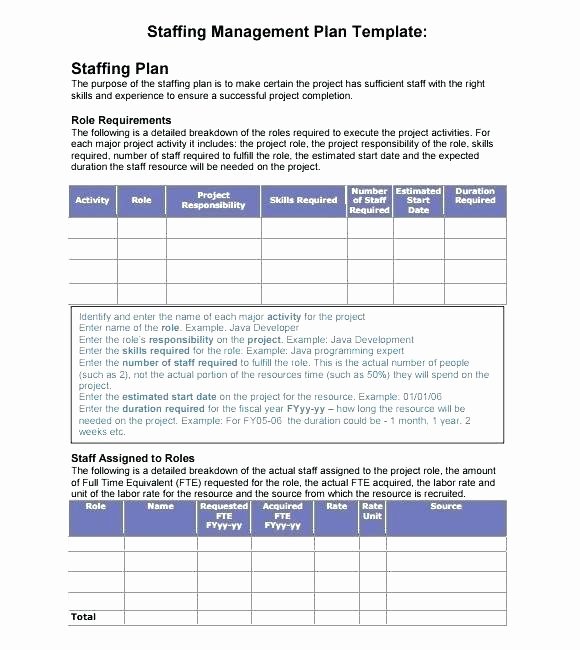 Staffing Plan Template Excel Elegant Nursing Staffing Plan Template Beautiful Detail oriented