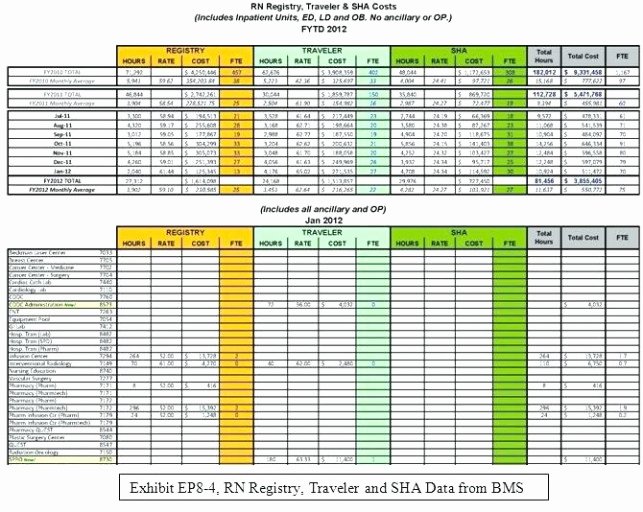 Staffing Plan Template Excel Luxury Staffing Management Plan Template Staff Capacity Planning