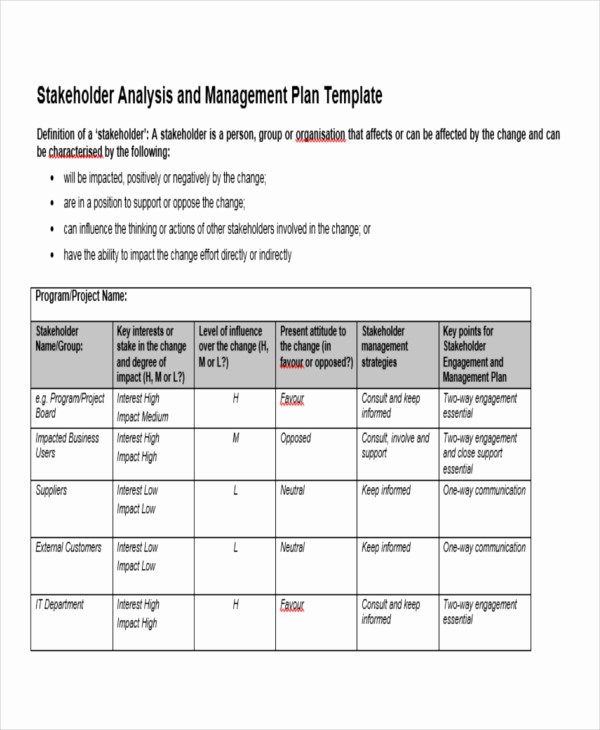 Stakeholder Management Plan Template New 35 Management Plan Example