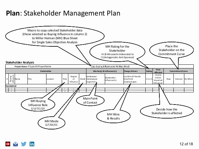 Stakeholder Management Plan Template Unique Stakeholder Management