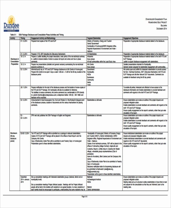 management plan template pdf