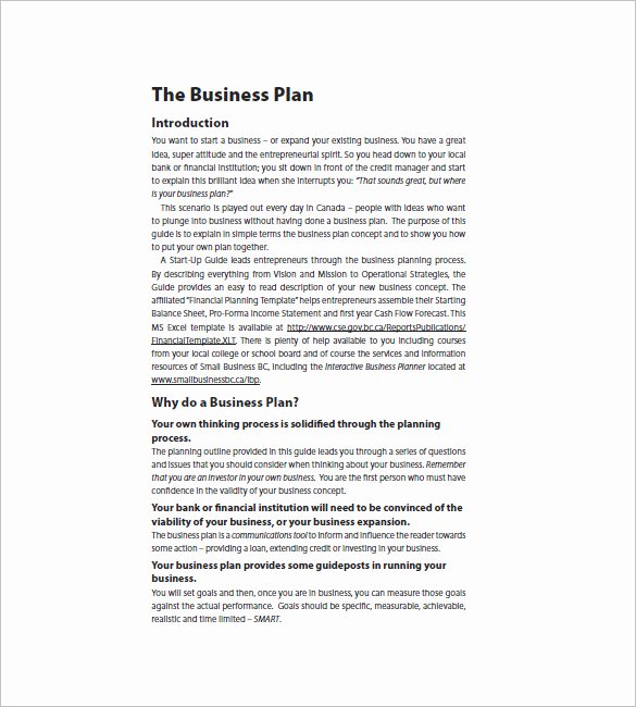 Startup Business Plan Template Excel Inspirational Startup Business Plan Template 19 Word Excel Pdf