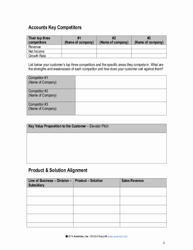 Strategic Account Plan Template Best Of Strategic Account Plan Template