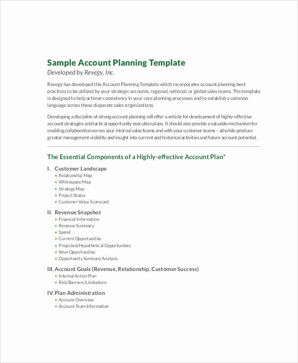 Strategic Account Plan Template Inspirational 9 Account Plan Templates Sample Example Word Google