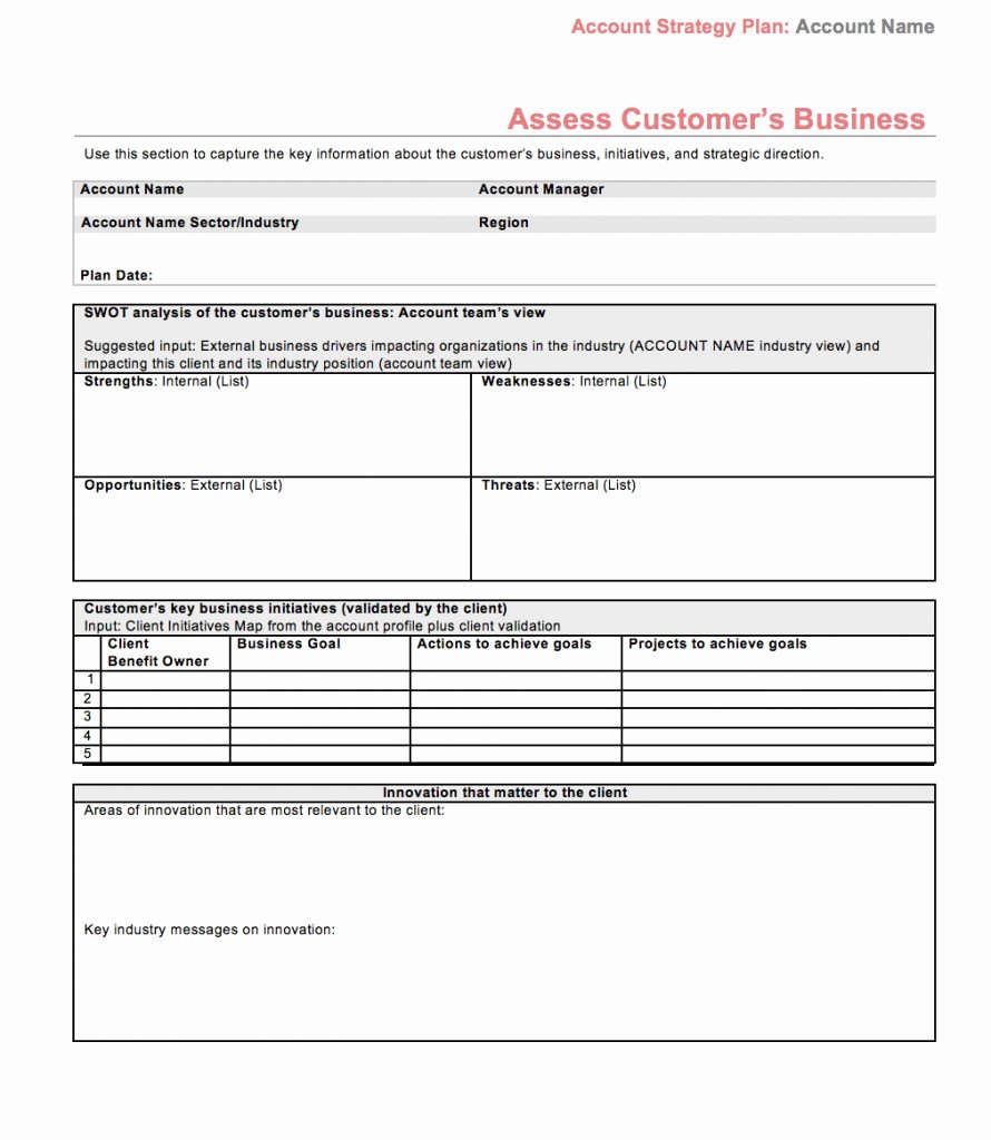 Strategic Account Plan Template Lovely Account Planning Templates