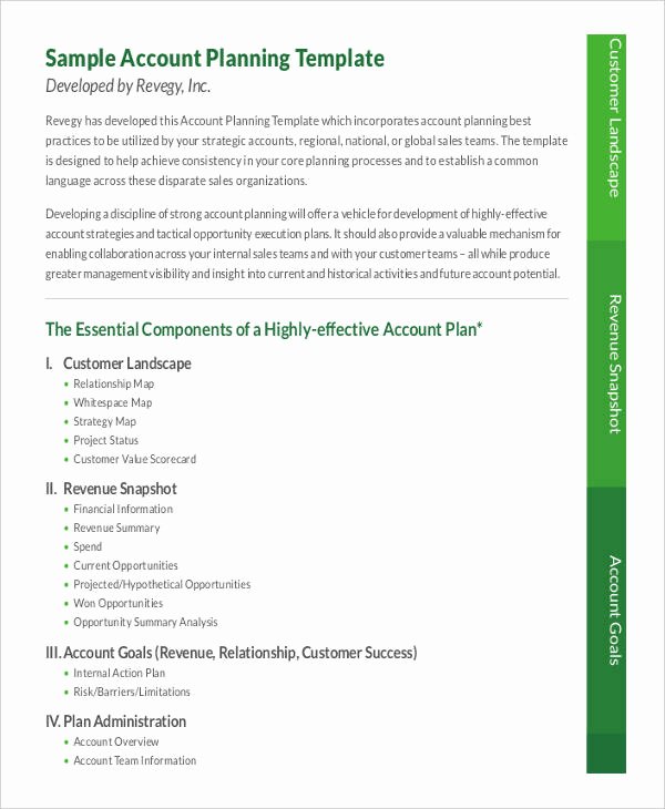 Strategic Account Plan Template Unique 7 Strategic Account Plan Templates Free Sample Example