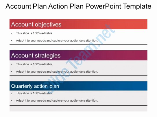 Strategic Plan Template Ppt Beautiful Account Plan Action Plan Powerpoint Template