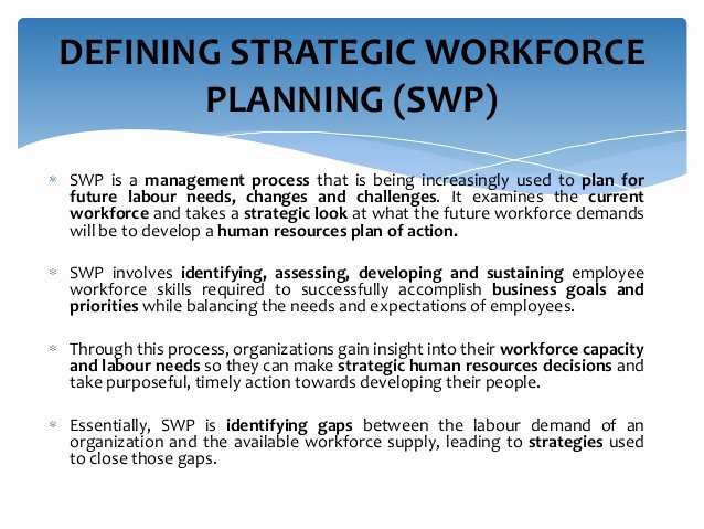 strategic workforce planning 28 november 2013