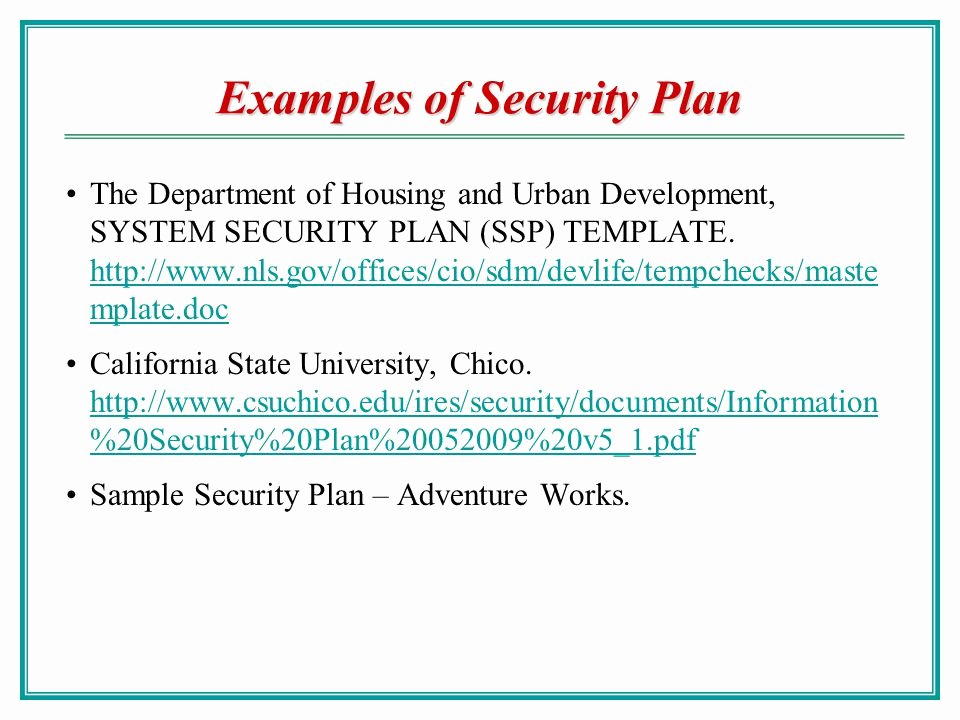 System Security Plan Template New Security organization Ppt Video Online