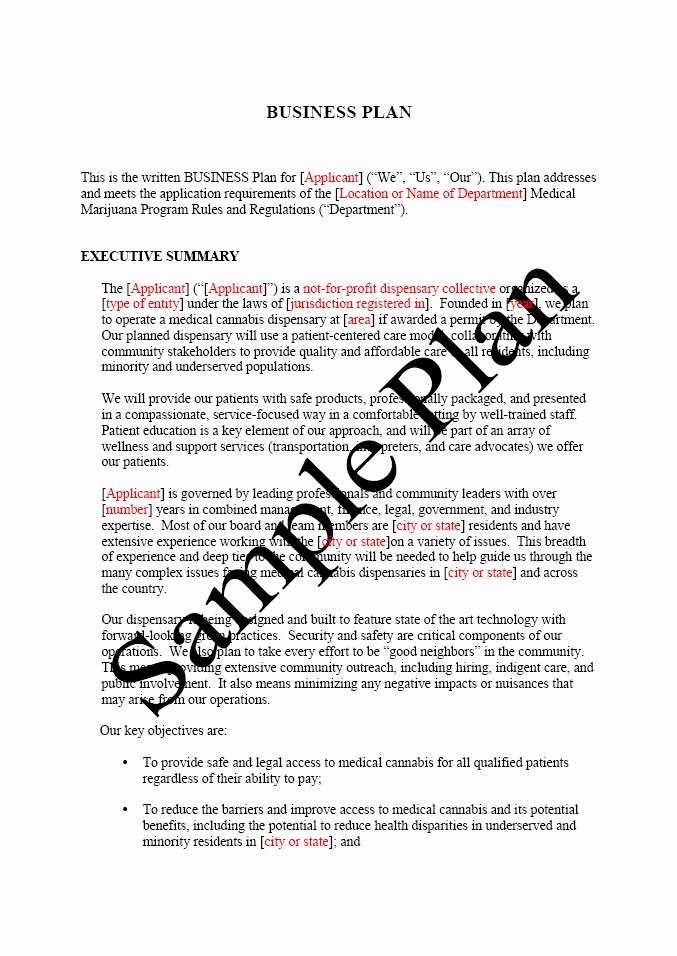 Technology Business Plan Template Awesome Free Printable Business Plan Sample form Generic