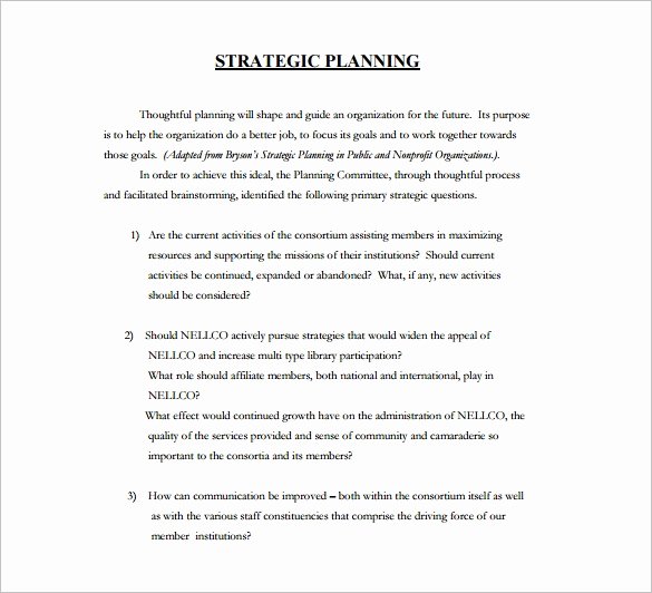 Template for Strategic Plan Awesome 28 Strategic Plan Templates Pdf Docs