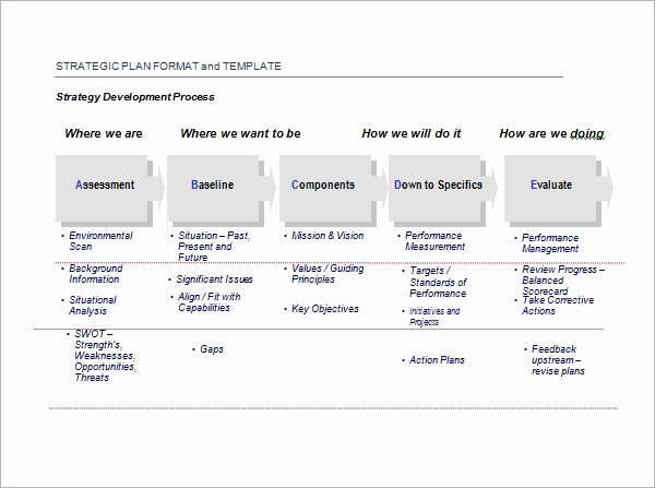 Template for Strategic Plan Lovely Strategic Plan Template