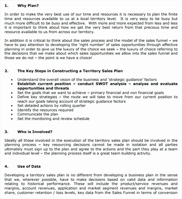 40 Territory Sales Plan Template Hamiltonplastering