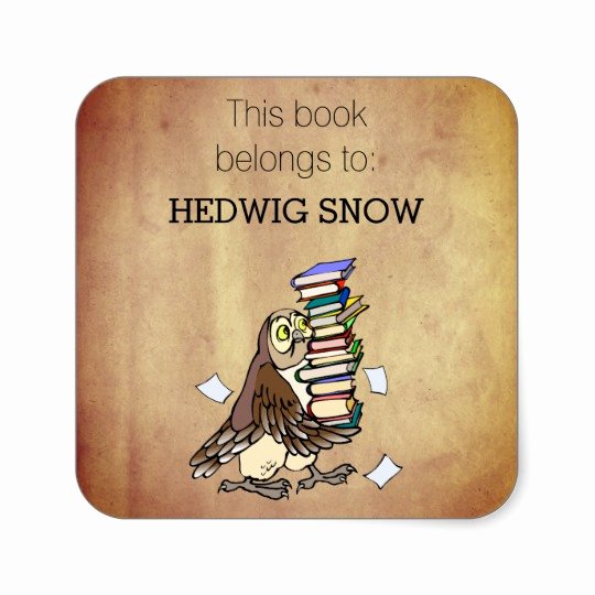 This Book Belongs to Template Awesome Personalized This Book Belongs to Owl Bookplate