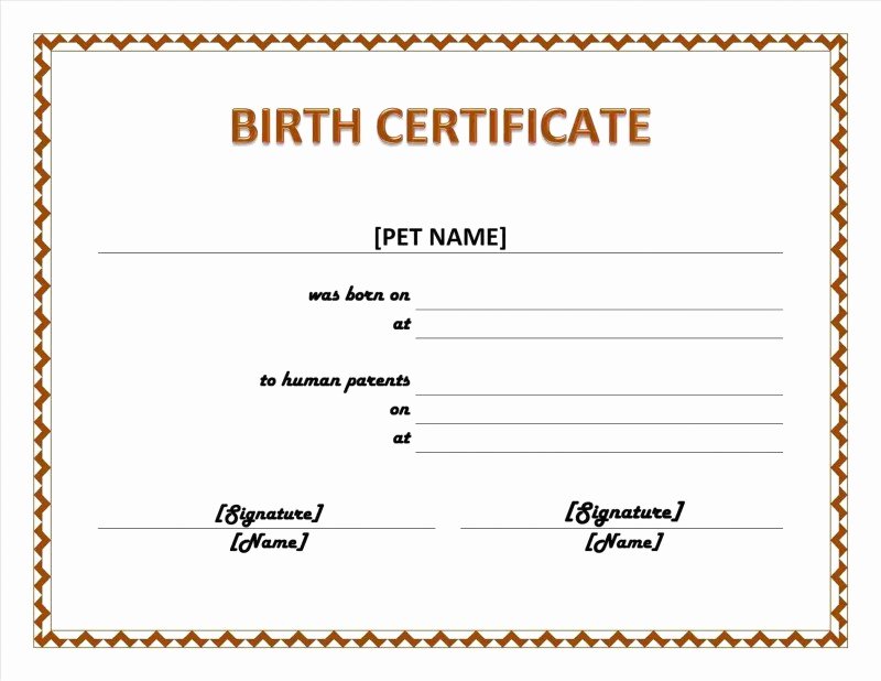 This Entitles the Bearer to Template Certificate Lovely This Certificate Entitles the Bearer Template