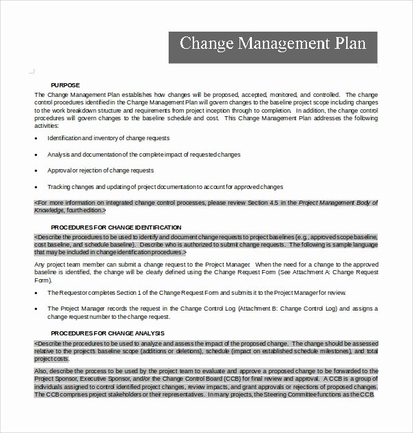 Transition Management Plan Template Elegant Sample Change Management Plan Template 13 Free