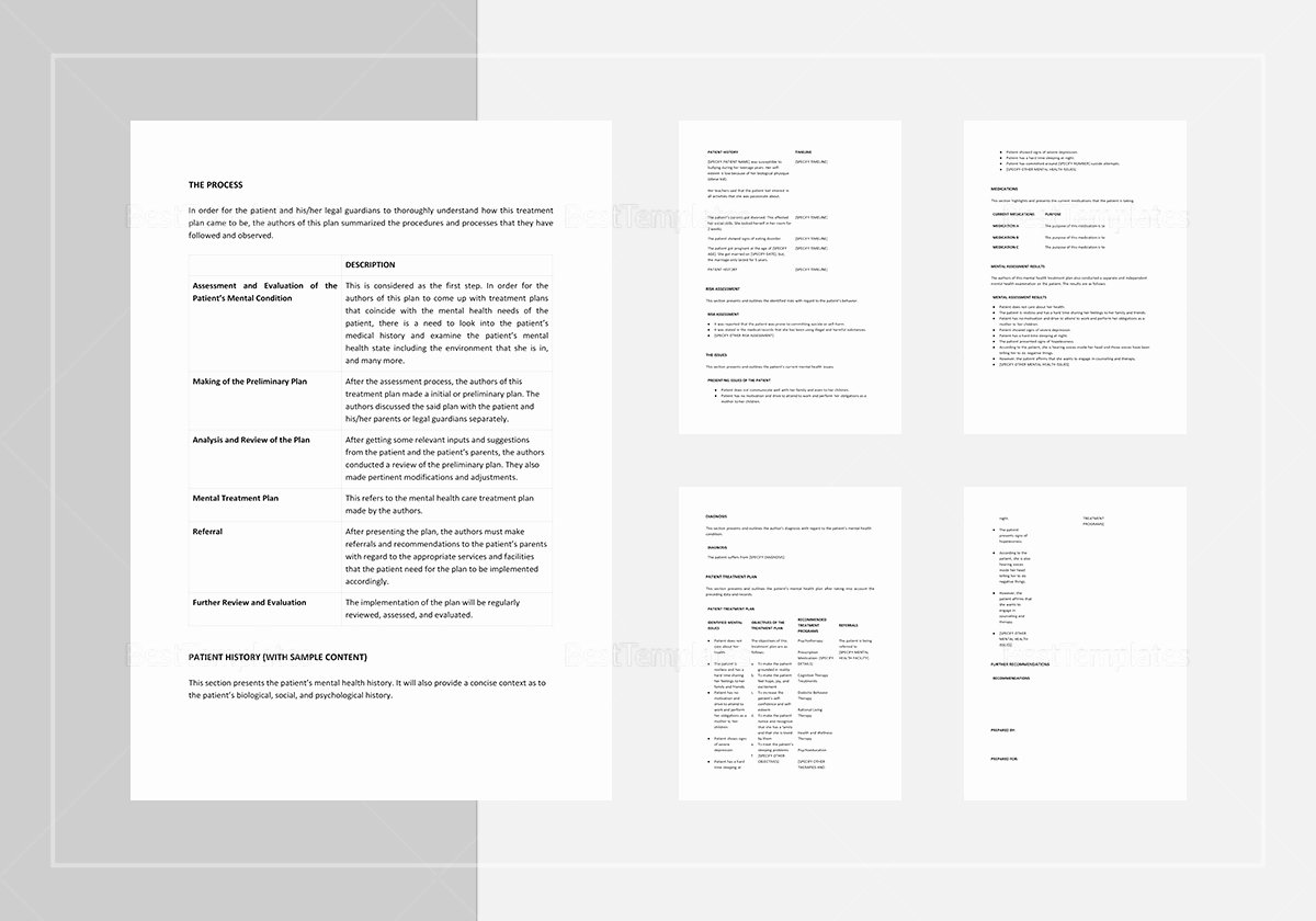 Treatment Plan Template Word Lovely Mental Health Treatment Plan Template In Word Apple Pages