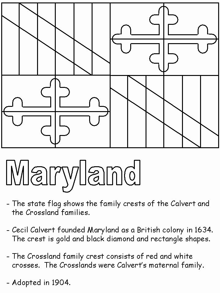 Umd 4 Year Plan Template Best Of Maryland State Flag