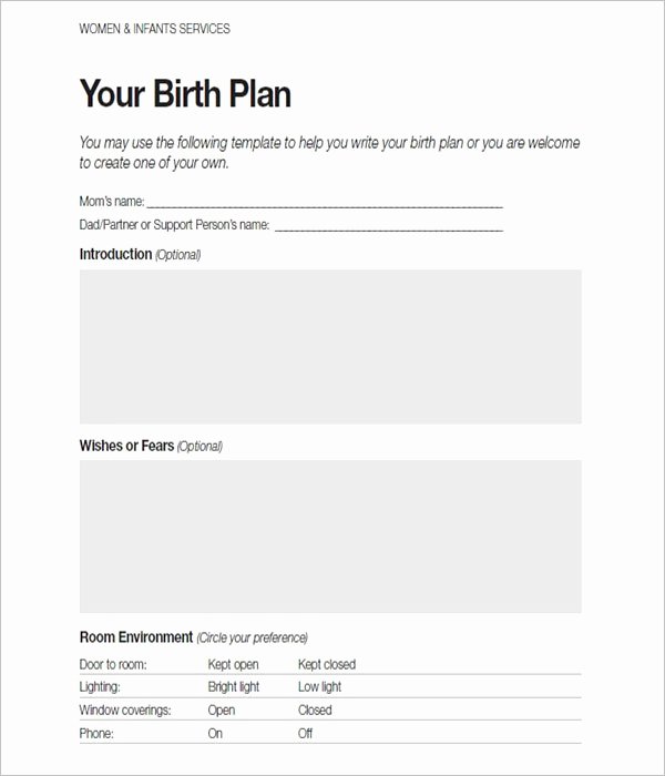 Visual Birth Plan Template Awesome 50 Free Birth Plan Templates Word Pdf formats