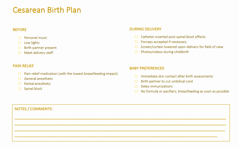 Visual Birth Plan Template Beautiful 5 Birth Plan Templates