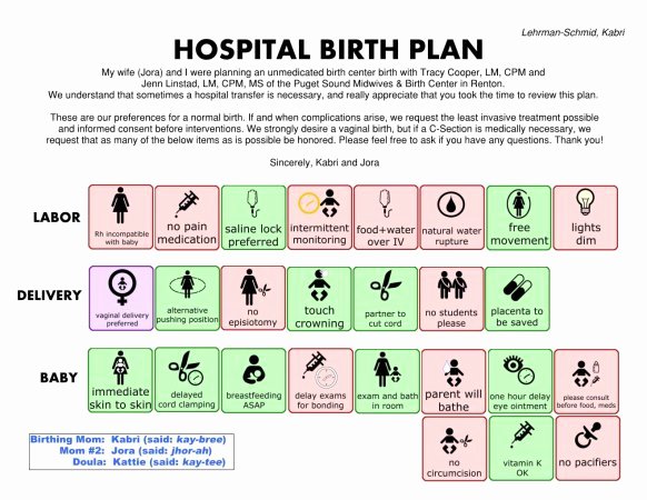 Visual Birth Plan Template Beautiful Could I Your thoughts On My Birth Plan Babycenter