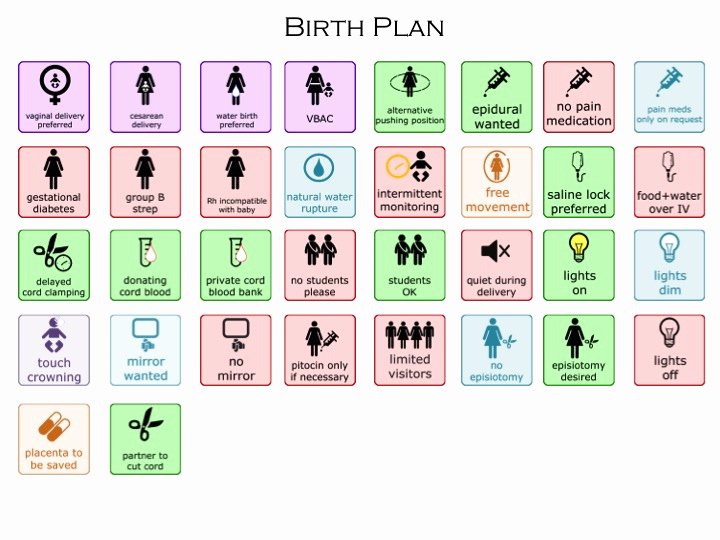 Visual Birth Plan Template Beautiful Customizable Visual Birth Plan Hashtag Bg