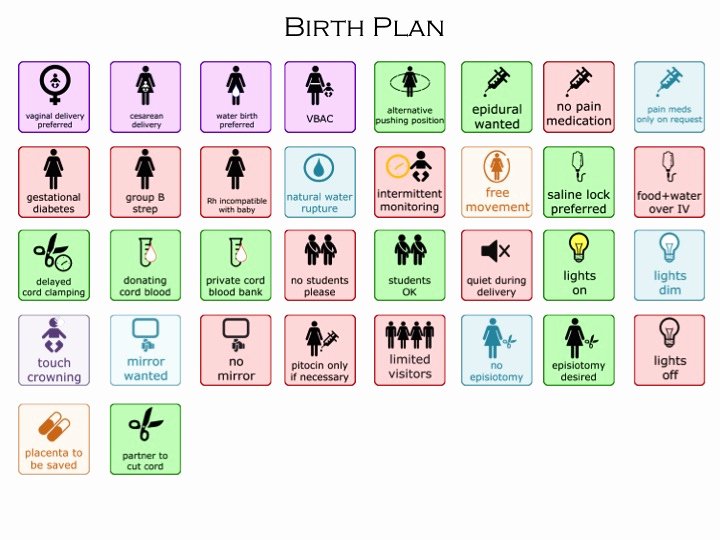 40 Visual Birth Plan Template | Hamiltonplastering