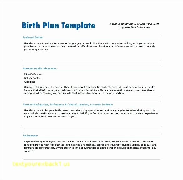 Visual Birth Plan Template Best Of Home Birth Plan Template Printable Best Sample Uk Examples