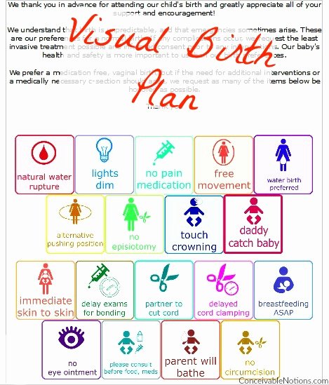 Visual Birth Plan Template Unique Conceivable Notions Our Ttc Journey