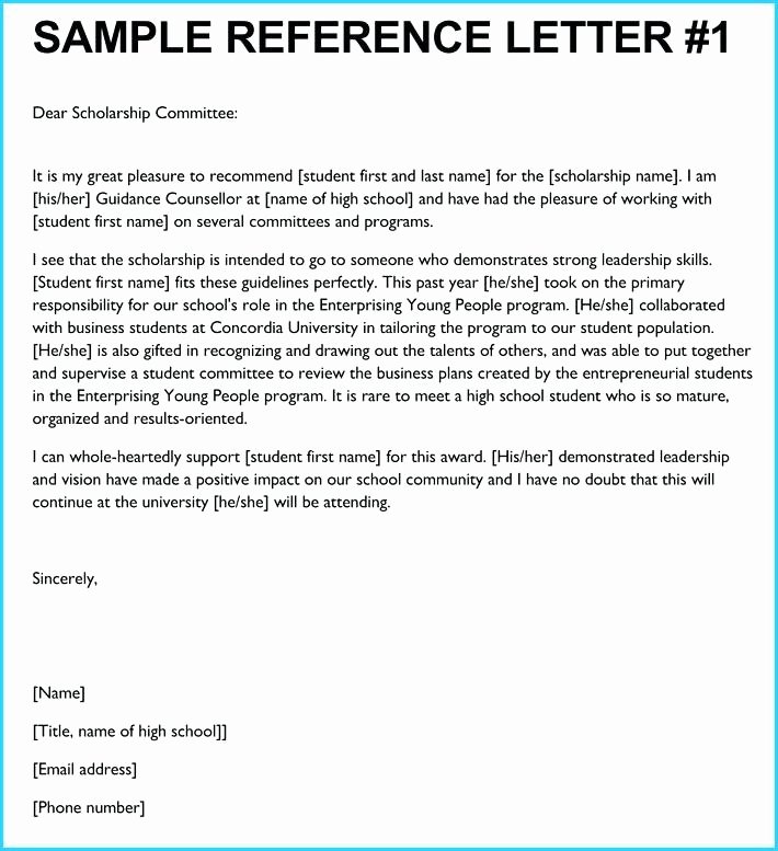 Volunteer Letter Of Recommendation New 13 Scholarship Re Mendation Letter Examples