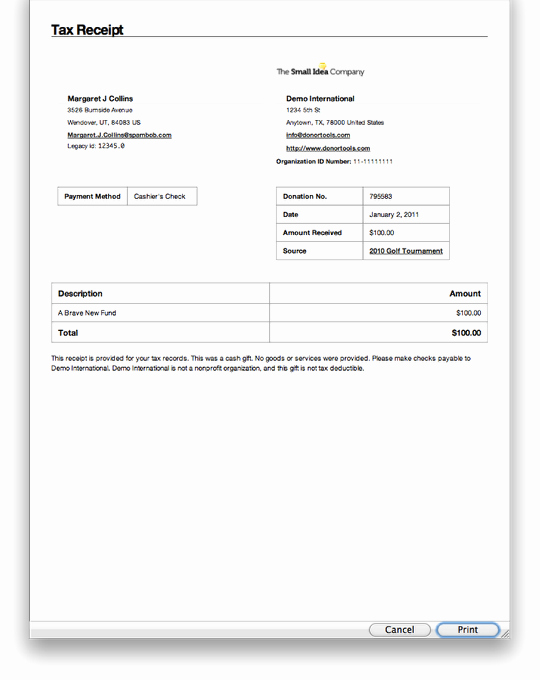 Year End Donation Receipt Template Best Of Example Babysitting Receipt
